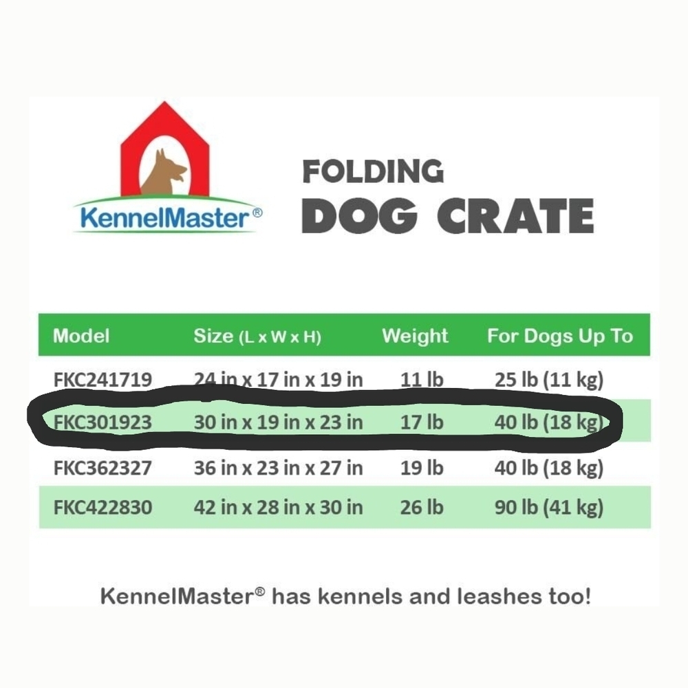 Green Dog Crate Box - Picture 2 of 3